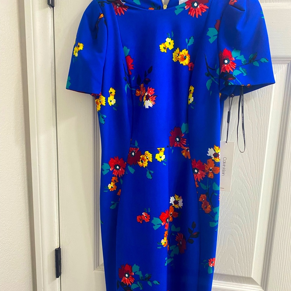 Blue Calvin Klein Dress